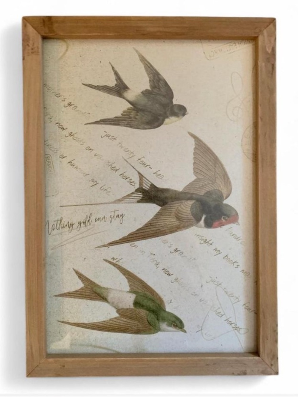 Framed Swallow Bird Print Wall Art - Neutral Wood Frame - Picture 5 of 5